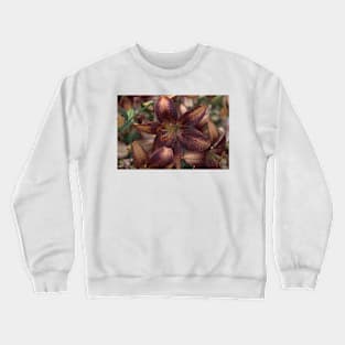 850_6077 Crewneck Sweatshirt